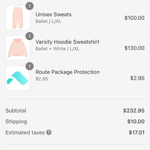 PARKE Varsity Hoodie Sweatshirt Ballet Pink Size L/XL NWT Valentine's Day Drop - Picture 2 of 2